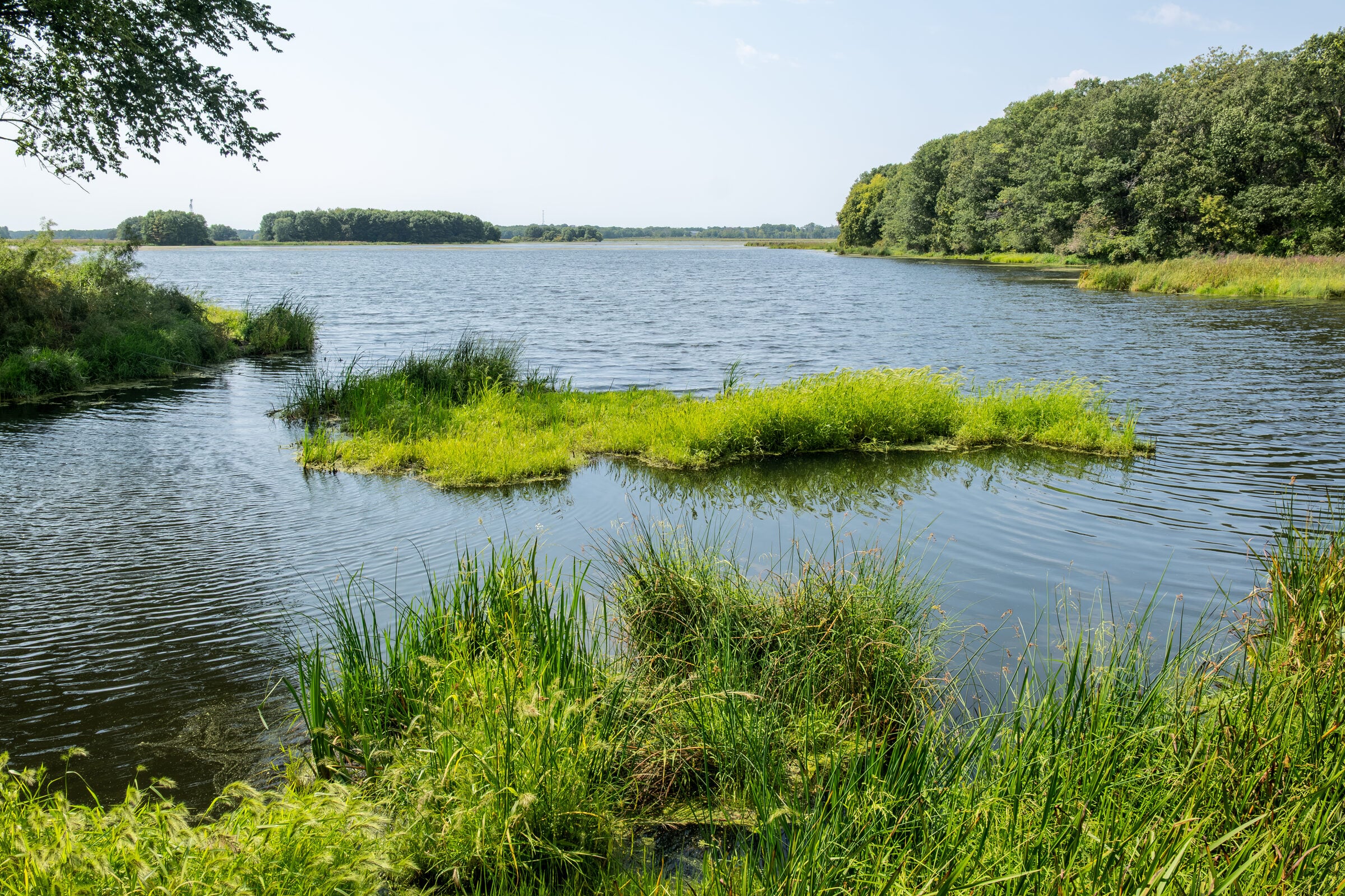 Sunrise River pool at Carlos Avery Wildlife Management Area in Chisago County.